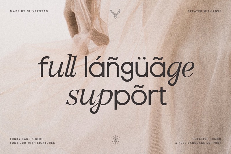 英文字体:优雅现代感时髦创意独特连字混排效果字体包 设计素材 第14张-素材湾丨精选海外优质设计素材资源 英文字体:优雅现代感时髦创意独特连字混排效果字体包 设计素材 sucaiwan.com