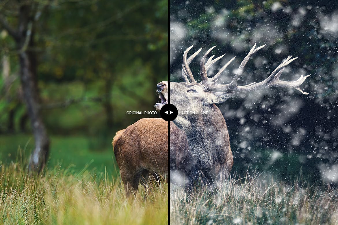 寒冬雪花特效PS动作 Cold Winter Photoshop Action 插件预设 sucaiwan.com