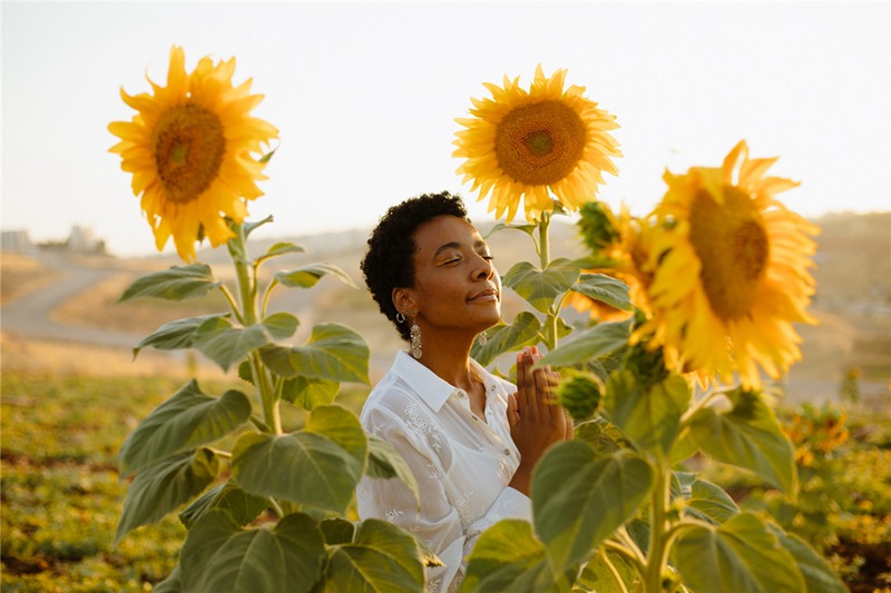 LR预设:夏季复古婚礼旅拍摄影暖色调LR调色预设包 Meridian - Zion Presets 插件预设 第16张-素材湾丨精选海外优质设计素材资源 LR预设:夏季复古婚礼旅拍摄影暖色调LR调色预设包 Meridian - Zion Presets 插件预设 sucaiwan.com