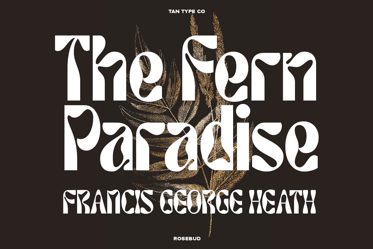 英文字体：90年代复古迷幻扭曲Y2K怪诞字母标题图标设计英文字体 TAN – ROSEBUD Font 设计素材 sucaiwan.com