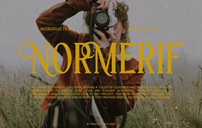 英文字体：优雅奢华品牌婚礼商标设计衬线英文字体 Normerif - Elegant Display Serif