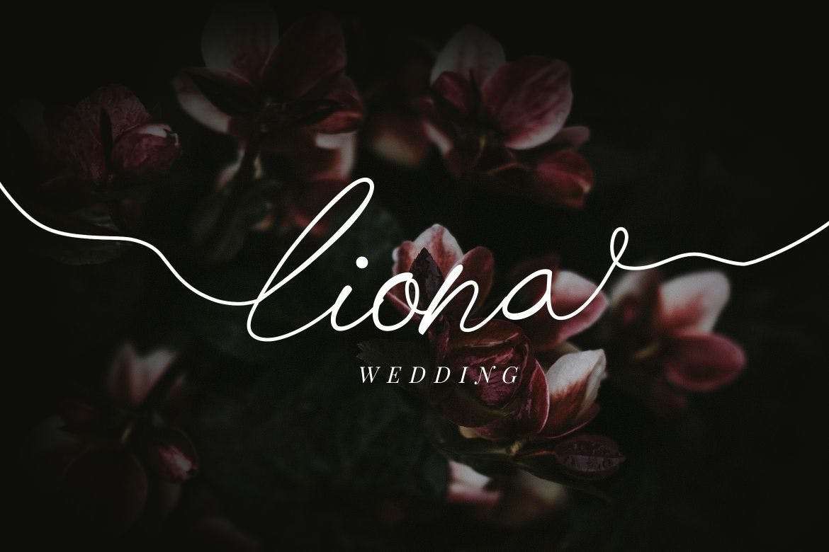 多用途英文手写签名字体 Chick Budapest Signature Font 设计素材 sucaiwan.com