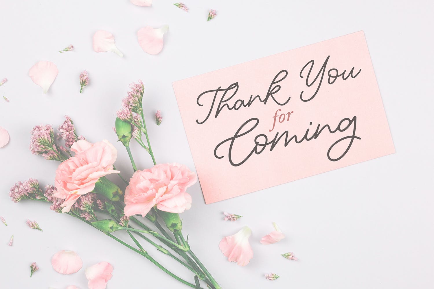 英文书法风格手写脚本字体 Charmelly | Handwritten Script Font 设计素材 第7张-素材湾丨精选海外优质设计素材资源 英文书法风格手写脚本字体 Charmelly | Handwritten Script Font 设计素材 sucaiwan.com