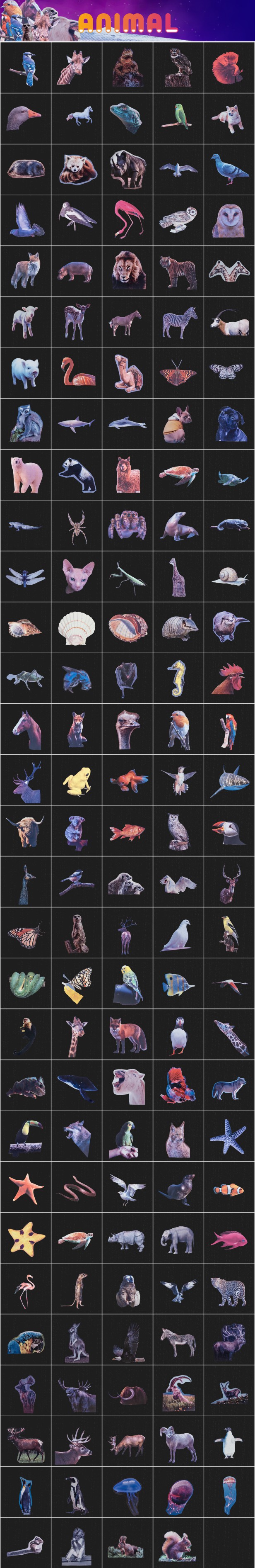 AE脚本:2000个创意拼贴艺术半色调字母五官雕塑杂志手工剪切元素排版折叠定格动画包 Collage Pack . 第6张-素材湾丨精选海外优质设计素材资源 AE脚本:2000个创意拼贴艺术半色调字母五官雕塑杂志手工剪切元素排版折叠定格动画包 Collage Pack . sucaiwan.com