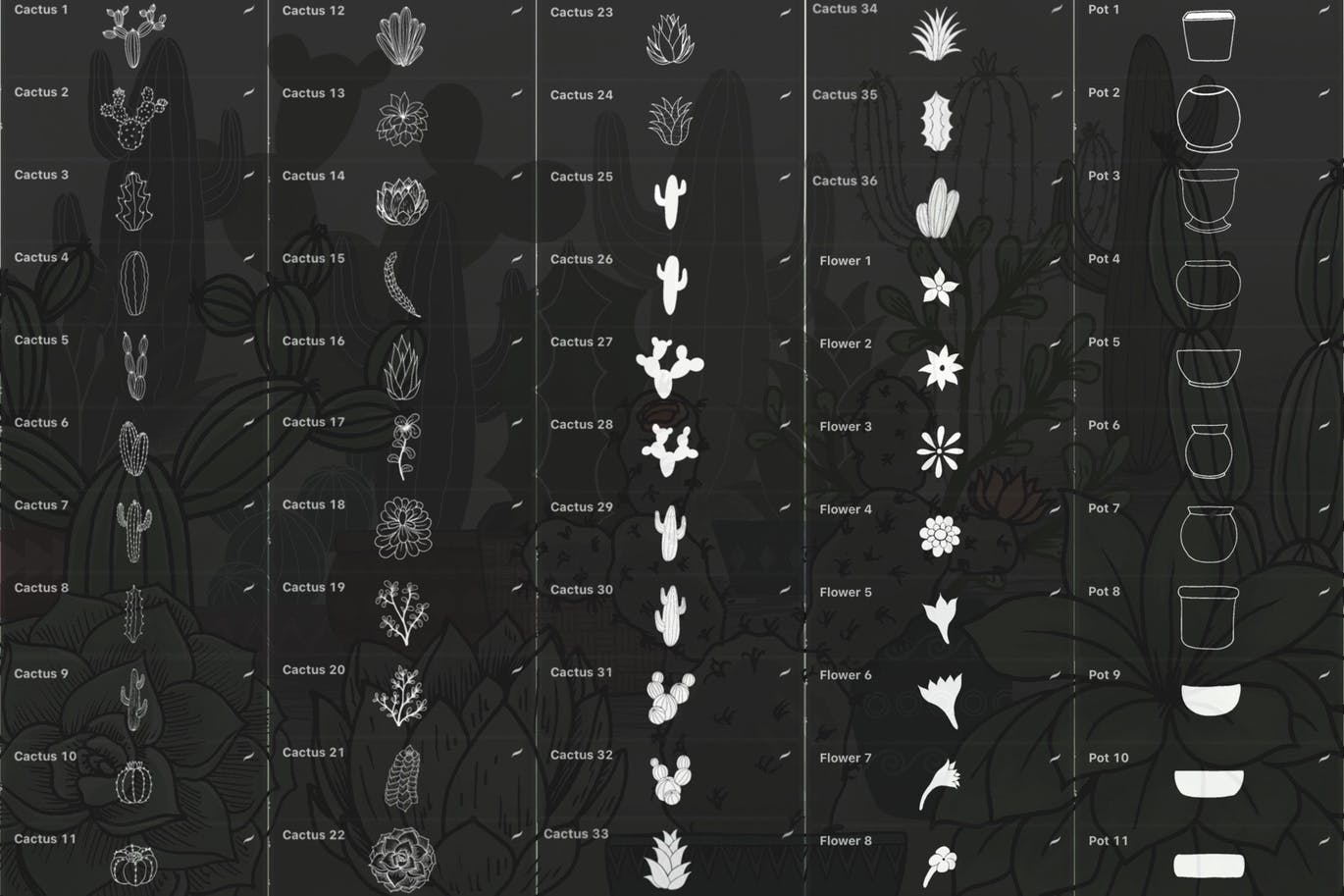 仙人掌多肉植物花盆元素Procreate笔刷素材 Cactus Succulents and Pots – Procreate Brushes 图片素材 sucaiwan.com