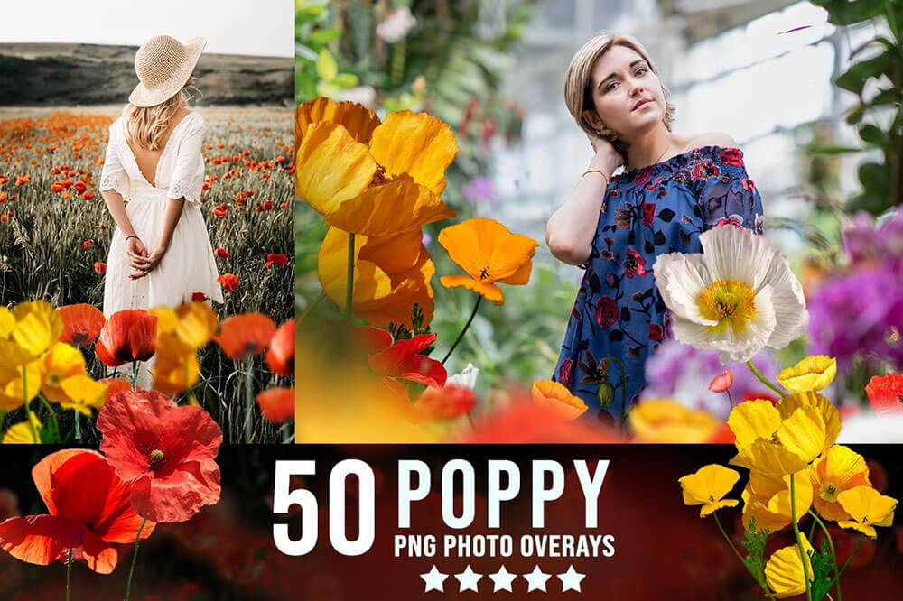 3300+动物花鸟植物藤曼浪漫闪光纸屑彩虹烟雾星空极光等照片叠加合成素材合集 3300+ Photo Overlays Bundle + FREE Act 图片素材 第30张-素材湾丨精选海外优质设计素材资源 3300+动物花鸟植物藤曼浪漫闪光纸屑彩虹烟雾星空极光等照片叠加合成素材合集 3300+ Photo Overlays Bundle + FREE Act 图片素材 sucaiwan.com