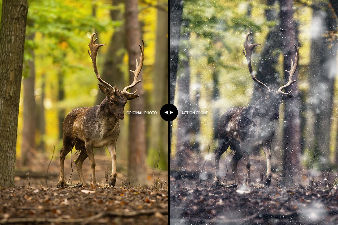 寒冬雪花特效PS动作 Cold Winter Photoshop Action 插件预设 sucaiwan.com