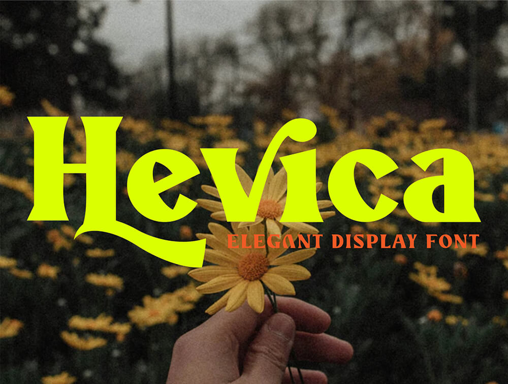 华丽古典多用途显示字体 设计素材 sucaiwan.com