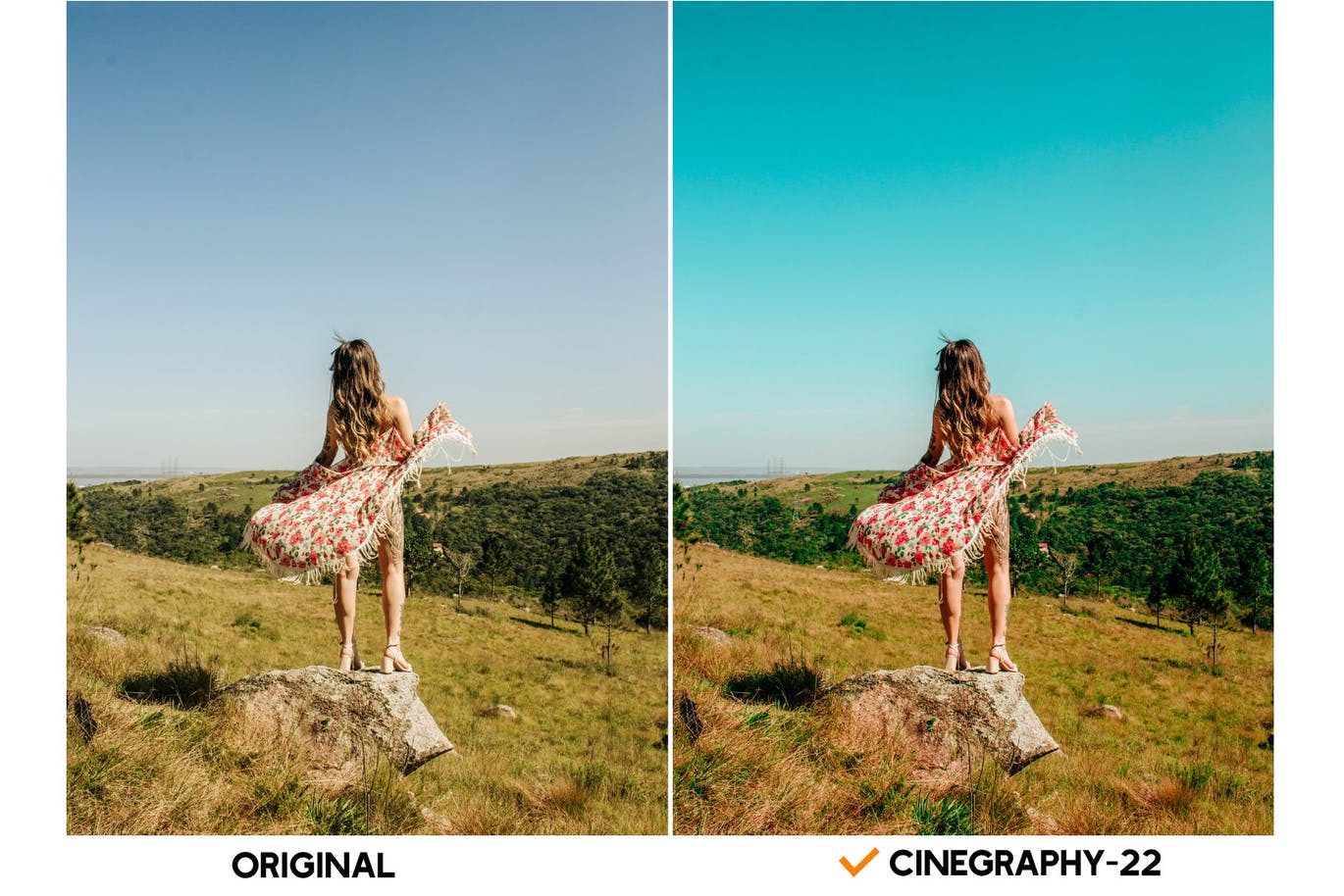 电影色调PS动作&LR预设 Cinegraphy – Actions and Presets 插件预设 sucaiwan.com