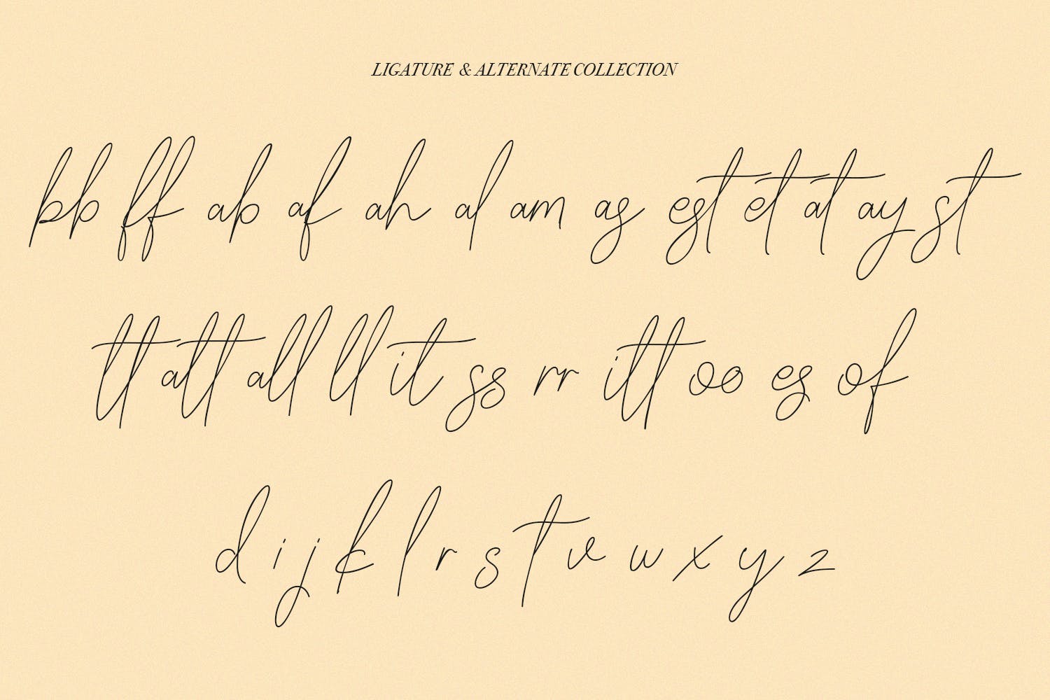 英文手写签名字体合集 Slothwilds Handwritten Typeface 设计素材 sucaiwan.com