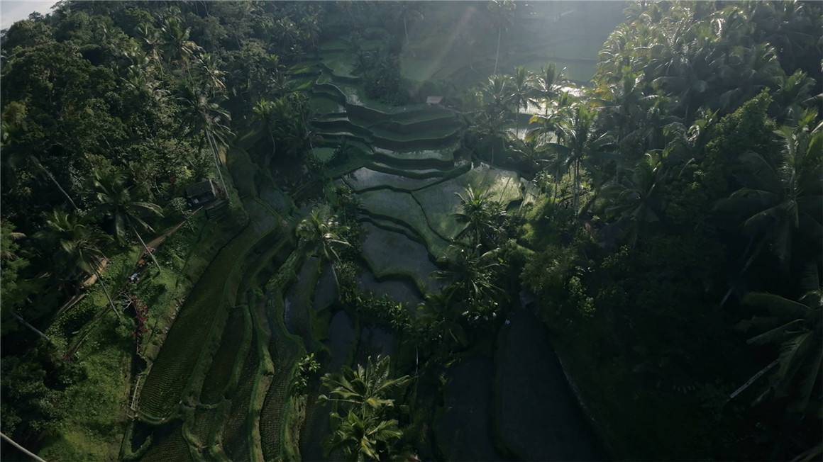 JustKay 大疆Avata无人机穿越机航拍LUT调色预设包 DJI Avata LUTs 插件预设 sucaiwan.com