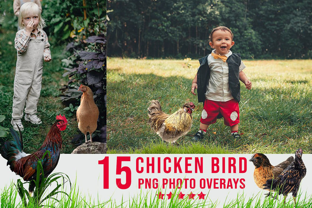 3300+动物花鸟植物藤曼浪漫闪光纸屑彩虹烟雾星空极光等照片叠加合成素材合集 3300+ Photo Overlays Bundle + FREE Act 图片素材 第15张-素材湾丨精选海外优质设计素材资源 3300+动物花鸟植物藤曼浪漫闪光纸屑彩虹烟雾星空极光等照片叠加合成素材合集 3300+ Photo Overlays Bundle + FREE Act 图片素材 sucaiwan.com