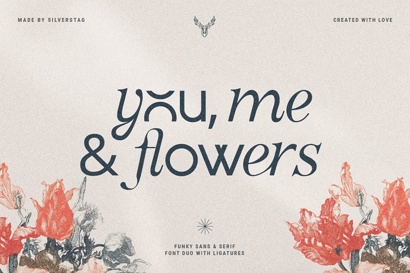 英文字体:优雅现代感时髦创意独特连字混排效果字体包 设计素材 第12张-素材湾丨精选海外优质设计素材资源 英文字体:优雅现代感时髦创意独特连字混排效果字体包 设计素材 sucaiwan.com