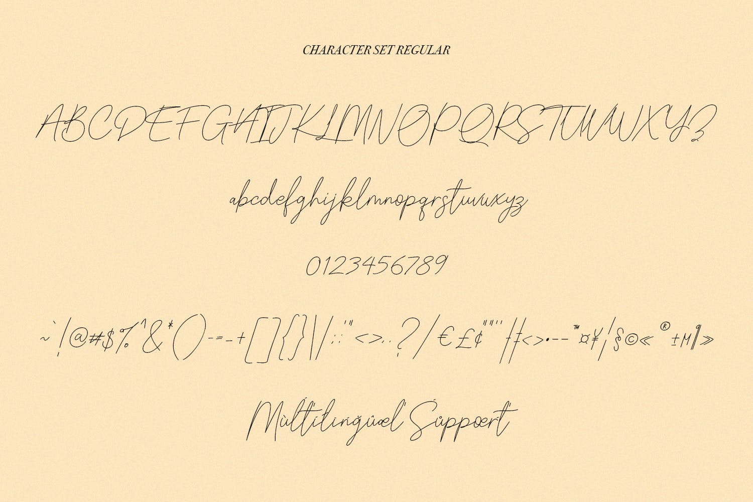 英文手写签名字体合集 Slothwilds Handwritten Typeface 设计素材 sucaiwan.com