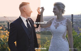 Picture Pulse 16个温暖自然花园风格婚礼制作人LUT调色预设包