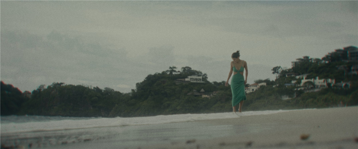 深绿色自然风景旅拍达芬奇调色节点 JUNGLE 2022 POWERGRADE 插件预设 sucaiwan.com