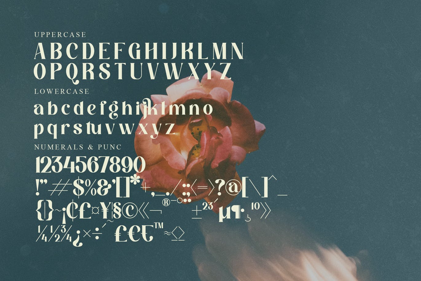 优雅现代衬线显示字体素材 Hatcher Serif Display Font 设计素材 sucaiwan.com