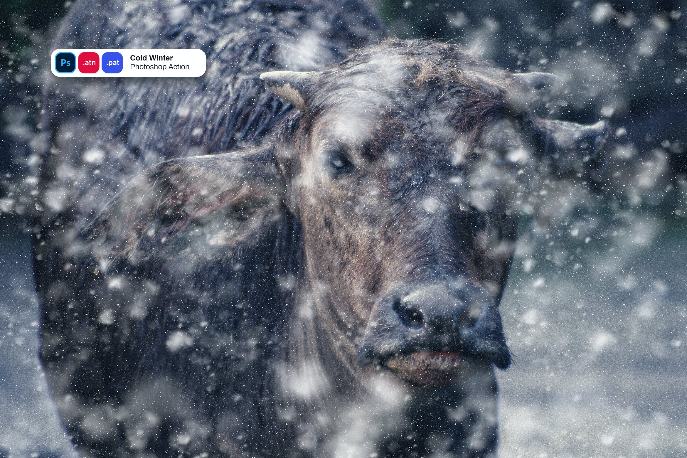 寒冬雪花特效PS动作 Cold Winter Photoshop Action 插件预设 sucaiwan.com