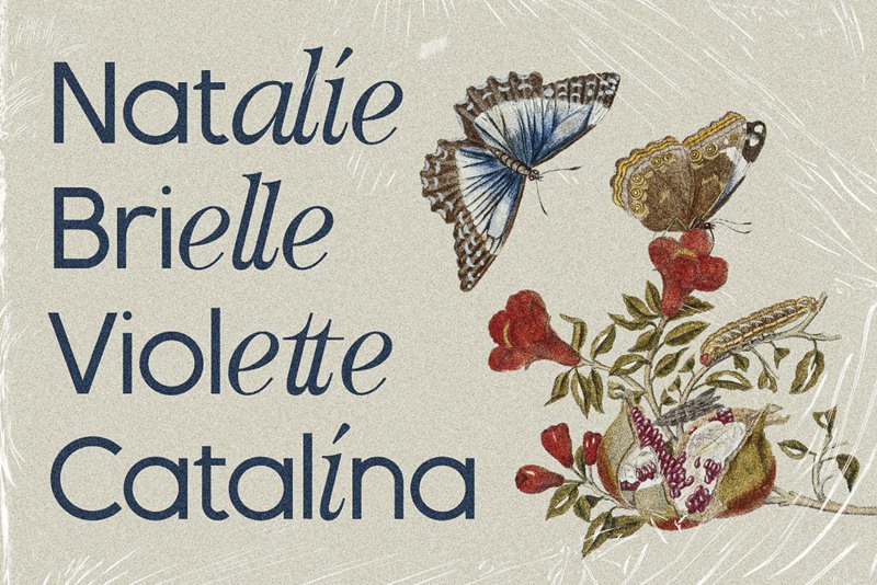 英文字体:优雅现代感时髦创意独特连字混排效果字体包 设计素材 第10张-素材湾丨精选海外优质设计素材资源 英文字体:优雅现代感时髦创意独特连字混排效果字体包 设计素材 sucaiwan.com