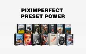PIXIMPERFECT 200个独特风格多类别摄影师必备调色预设包 PRESET POWER (XMP.DNG.LR.LUTS)