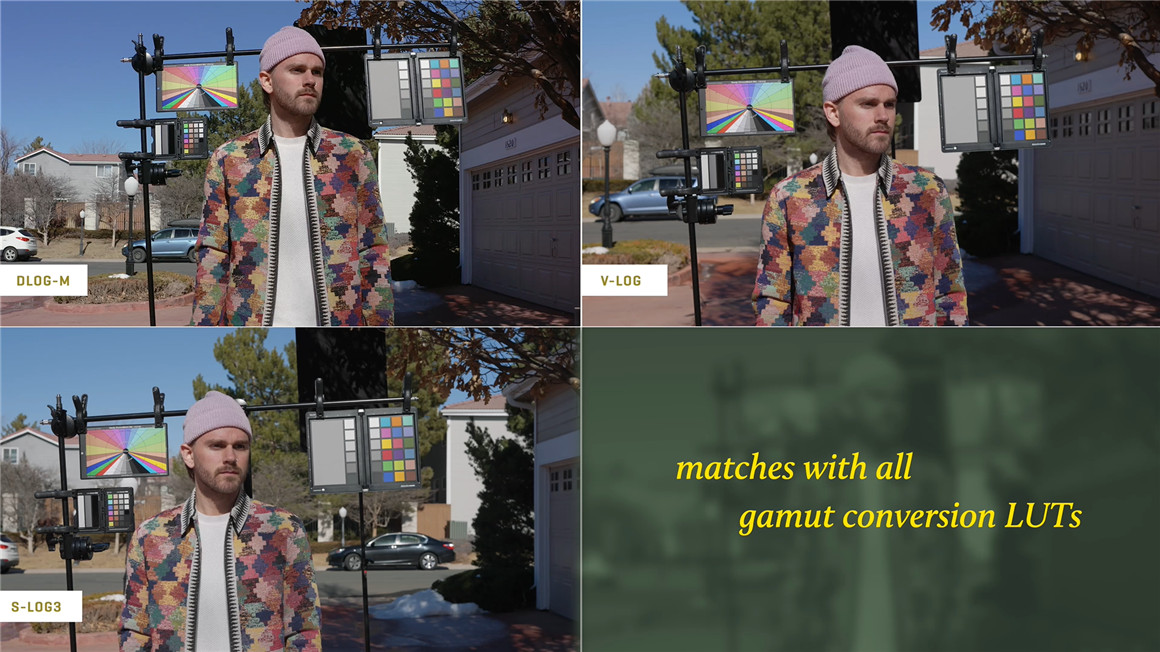 Gamut 大疆DLog-M色彩还原LUT调色预设 DJI Conversion LUTs for DLog-M 插件预设 sucaiwan.com