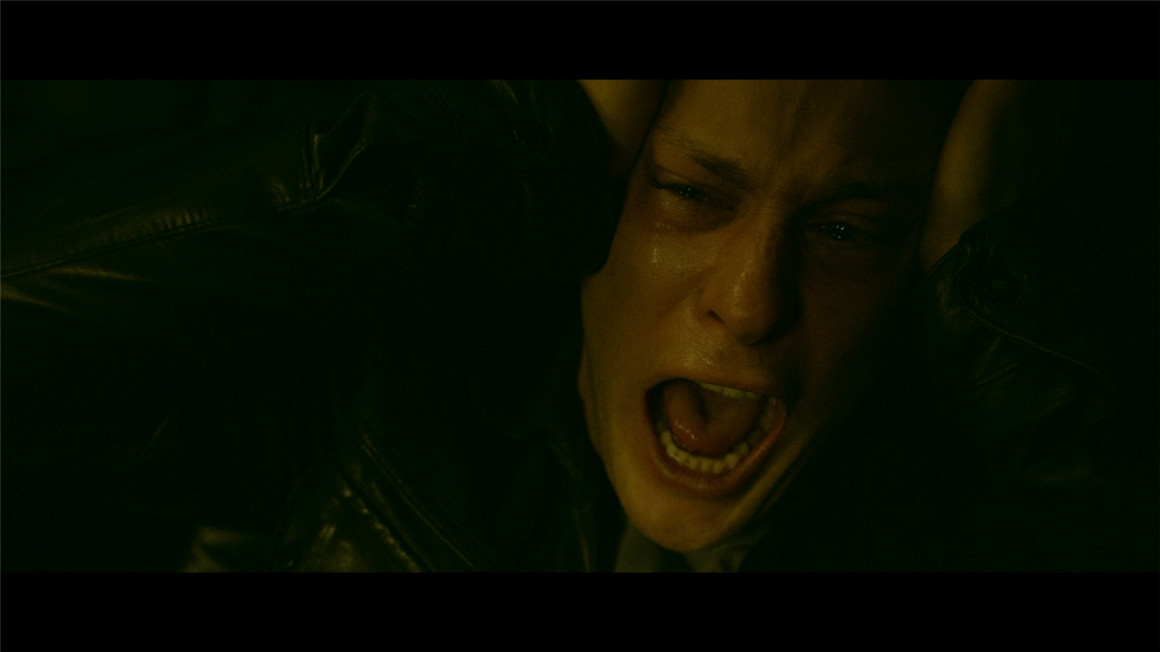 真实胶片模拟调色插件 FilmConvert Nitrate 支持达芬奇/AE/PR/FCPX . sucaiwan.com