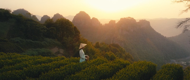 Nomadic George 柯达2383电影胶片模拟达芬奇调色节点 Kodak 2383 Cinematic PowerGrade 插件预设 第10张-素材湾丨精选海外优质设计素材资源 Nomadic George 柯达2383电影胶片模拟达芬奇调色节点 Kodak 2383 Cinematic PowerGrade 插件预设 sucaiwan.com