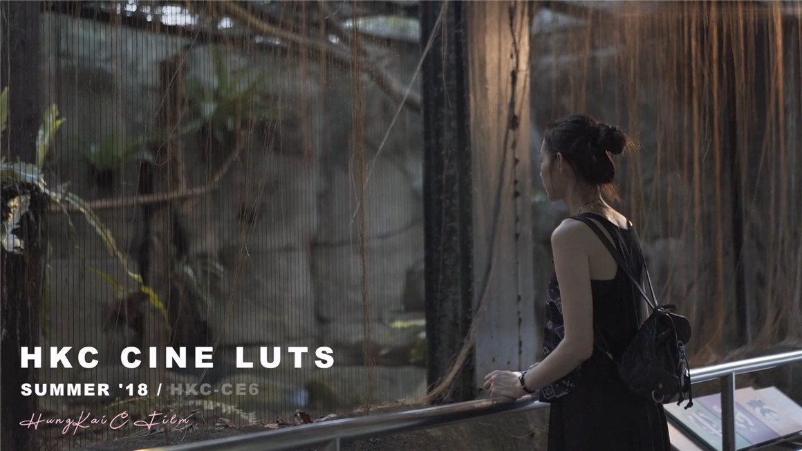 10个索尼专业电影级调色LUT预设包 CINE LUT PACK 插件预设 第7张-素材湾丨精选海外优质设计素材资源 10个索尼专业电影级调色LUT预设包 CINE LUT PACK 插件预设 sucaiwan.com