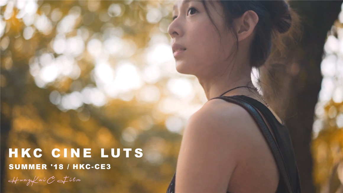 10个索尼专业电影级调色LUT预设包 CINE LUT PACK 插件预设 第10张-素材湾丨精选海外优质设计素材资源 10个索尼专业电影级调色LUT预设包 CINE LUT PACK 插件预设 sucaiwan.com