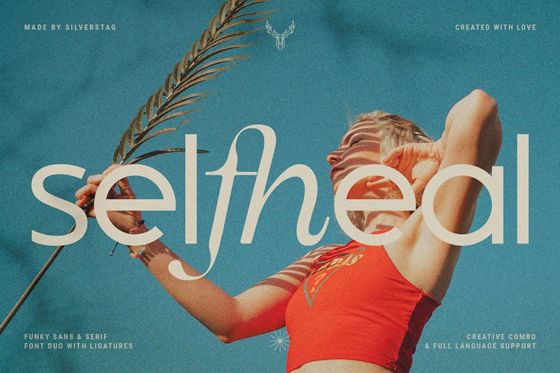 英文字体:优雅现代感时髦创意独特连字混排效果字体包 设计素材 第4张-素材湾丨精选海外优质设计素材资源 英文字体:优雅现代感时髦创意独特连字混排效果字体包 设计素材 sucaiwan.com