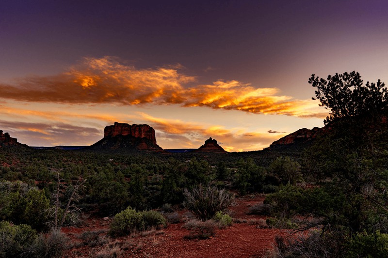 Ted Forbes 16个富士经典外观彩色负片模拟Lightroom预设 Ted Forbes - Fujified 插件预设 第4张-素材湾丨精选海外优质设计素材资源 Ted Forbes 16个富士经典外观彩色负片模拟Lightroom预设 Ted Forbes - Fujified 插件预设 sucaiwan.com