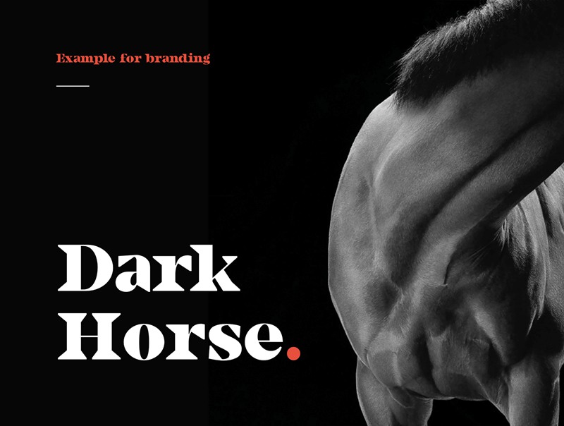 Camijo现代显示衬线字体 设计素材 sucaiwan.com