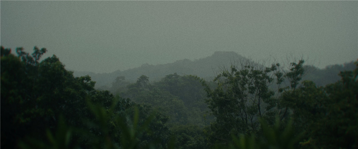 深绿色自然风景旅拍达芬奇调色节点 JUNGLE 2022 POWERGRADE 插件预设 sucaiwan.com