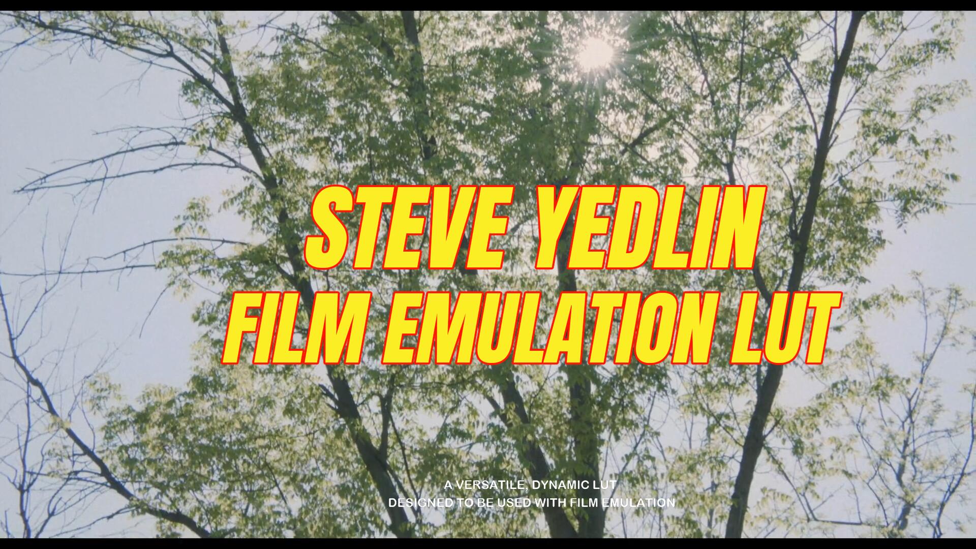 复古情绪短片胶片模拟lut调色预设 FILM EMULATION LUT . 第11张-素材湾丨精选海外优质设计素材资源 复古情绪短片胶片模拟lut调色预设 FILM EMULATION LUT . sucaiwan.com