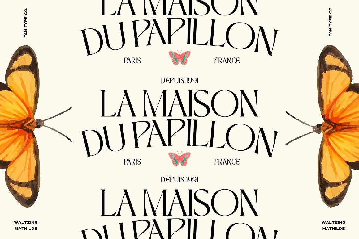 英文字体：优雅俏皮逆反差酸性海报标题徽标设计衬线英文字体 TAN - WALTZING MATHILDE 设计素材 sucaiwan.com