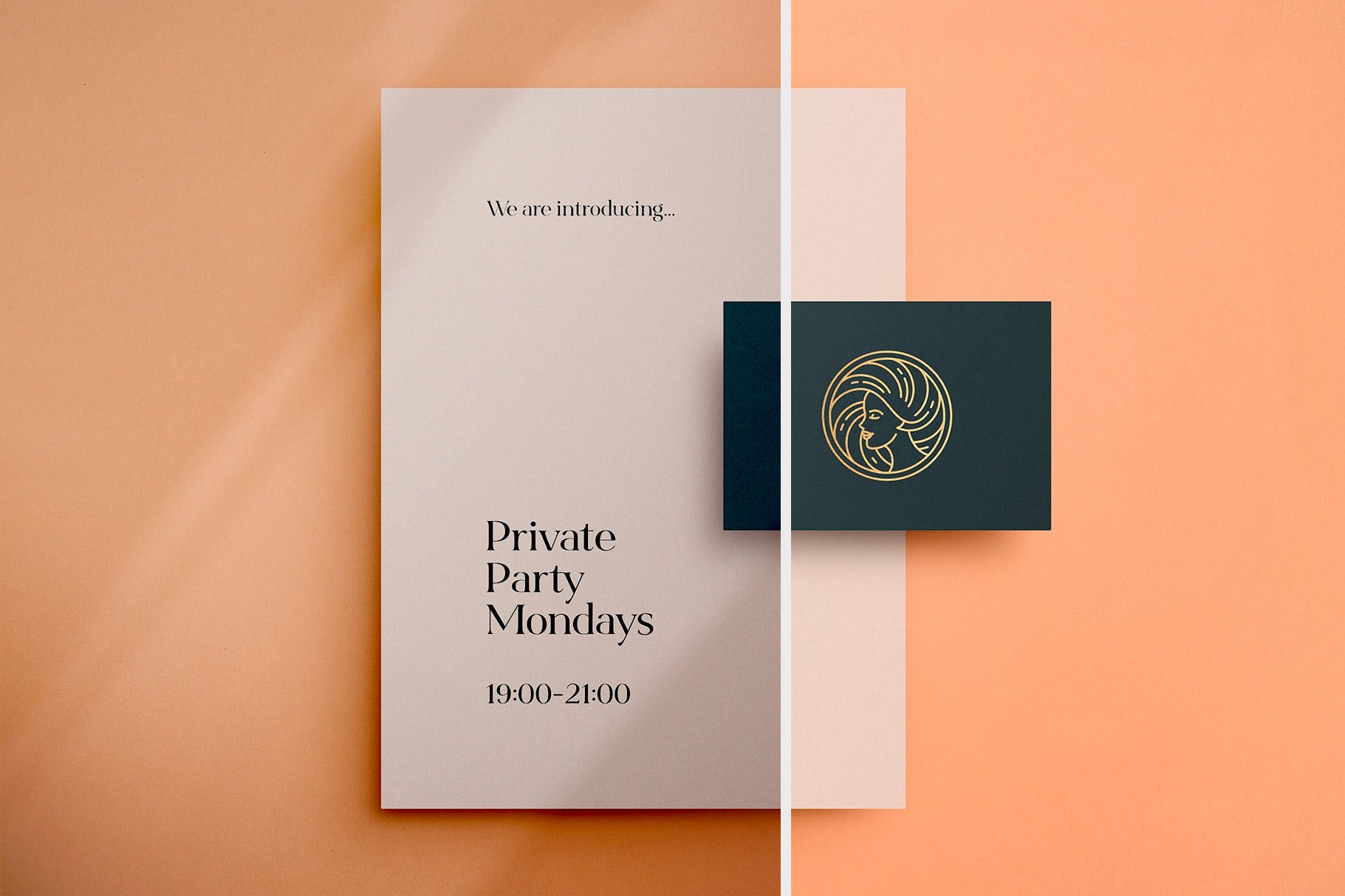 简单的阴影叠层背景素材v2 Shadow Play Photo Overlays Vol.2 图片素材 第2张-素材湾丨精选海外优质设计素材资源 简单的阴影叠层背景素材v2 Shadow Play Photo Overlays Vol.2 图片素材 sucaiwan.com