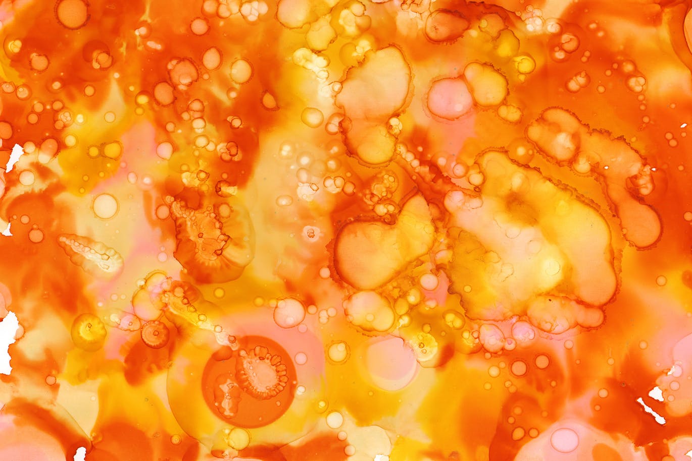 五彩墨水纹理素材v3 Multicolored Inks – Volume 3 图片素材 sucaiwan.com