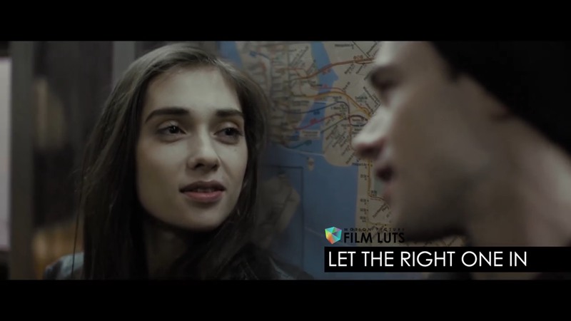 全新好莱坞创意电影质感颜色分级LUT预设包 Motion Picture Film LUTs + Tutorials 插件预设 第8张-素材湾丨精选海外优质设计素材资源 全新好莱坞创意电影质感颜色分级LUT预设包 Motion Picture Film LUTs + Tutorials 插件预设 sucaiwan.com