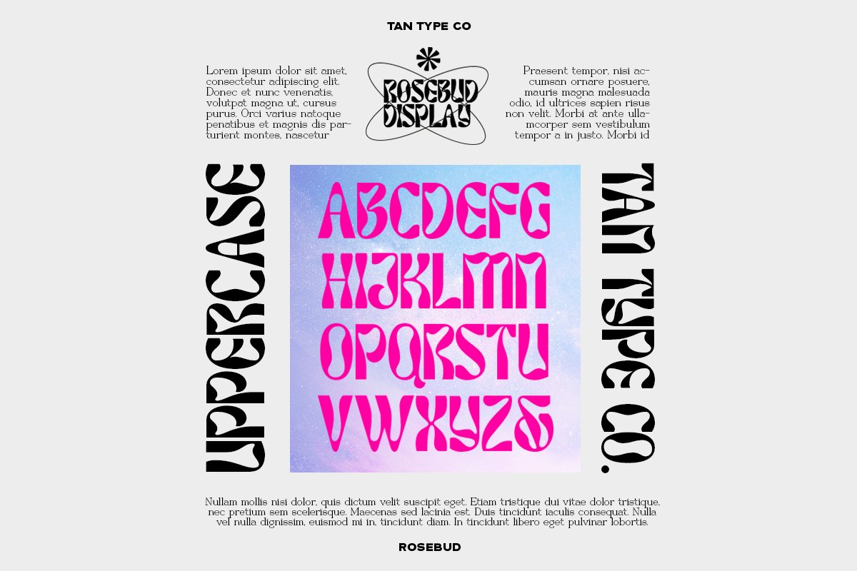 英文字体：90年代复古迷幻扭曲Y2K怪诞字母标题图标设计英文字体 TAN – ROSEBUD Font 设计素材 sucaiwan.com