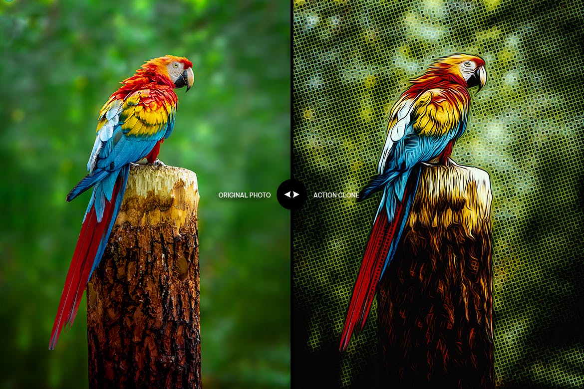 漫画油画效果照片处理PS动作 Comic Cartoon Oil Paint Photoshop Action 插件预设 sucaiwan.com