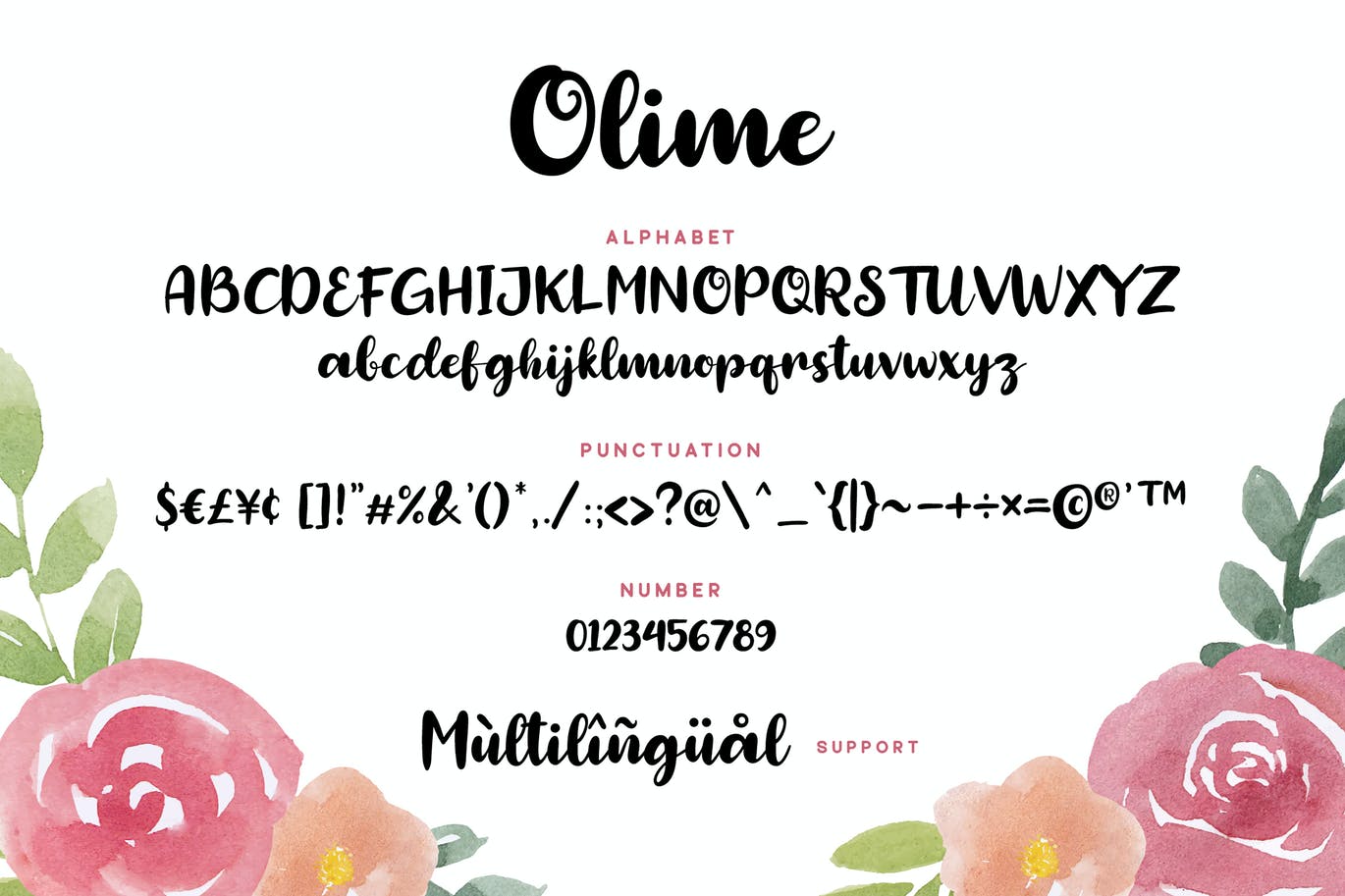 可爱手绘脚本字体 Olime – Cute Font 设计素材 sucaiwan.com