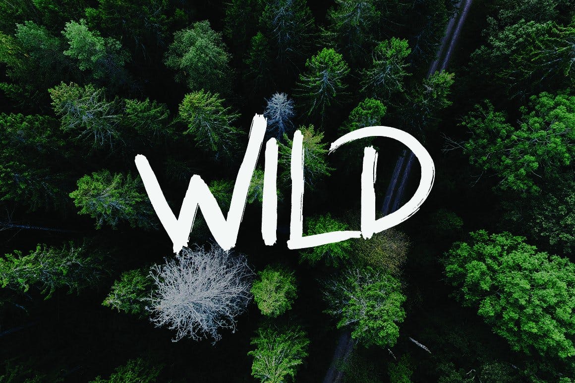 粗糙颗粒感手绘英文画笔字体 Rockwild – Action Handwitten Font 设计素材 sucaiwan.com