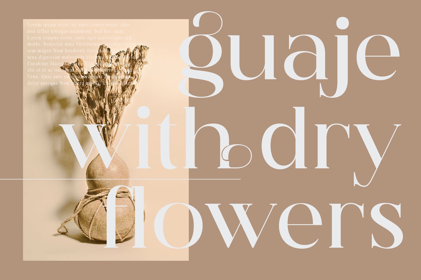 印刷文本衬线字体素材 Hegam Serif Font 设计素材 sucaiwan.com