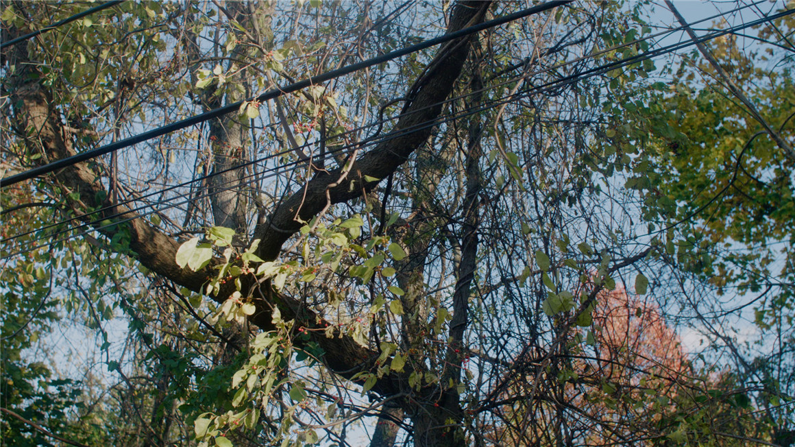 Emotive Color 松下GH5转阿莱色彩LUT调色预设包 GH5 CONVERTS ALEXA EMOTIVE COLOR GHALEX LUTS 插件预设 第14张-素材湾丨精选海外优质设计素材资源 Emotive Color 松下GH5转阿莱色彩LUT调色预设包 GH5 CONVERTS ALEXA EMOTIVE COLOR GHALEX LUTS 插件预设 sucaiwan.com