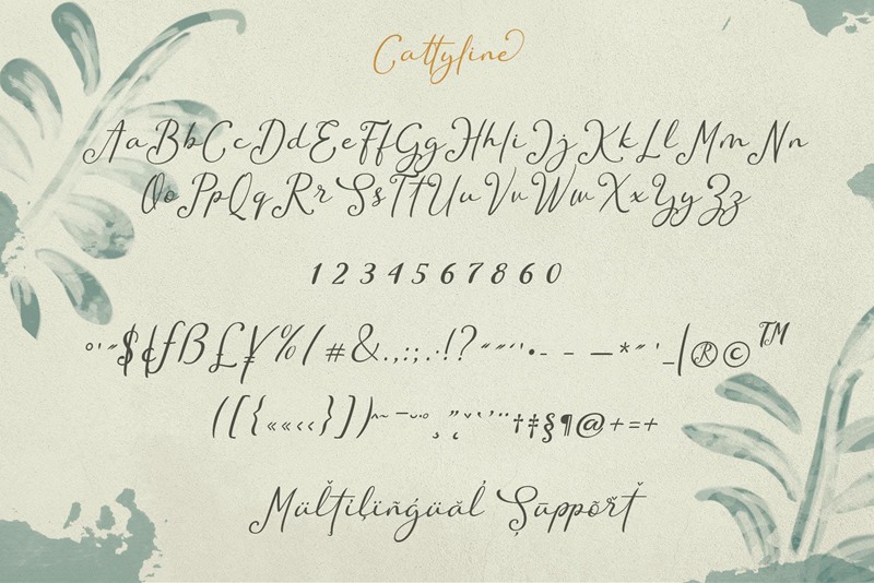 唯美清新贺卡邀请函手写字体素材 Cattyline 设计素材 第6张-素材湾丨精选海外优质设计素材资源 唯美清新贺卡邀请函手写字体素材 Cattyline 设计素材 sucaiwan.com