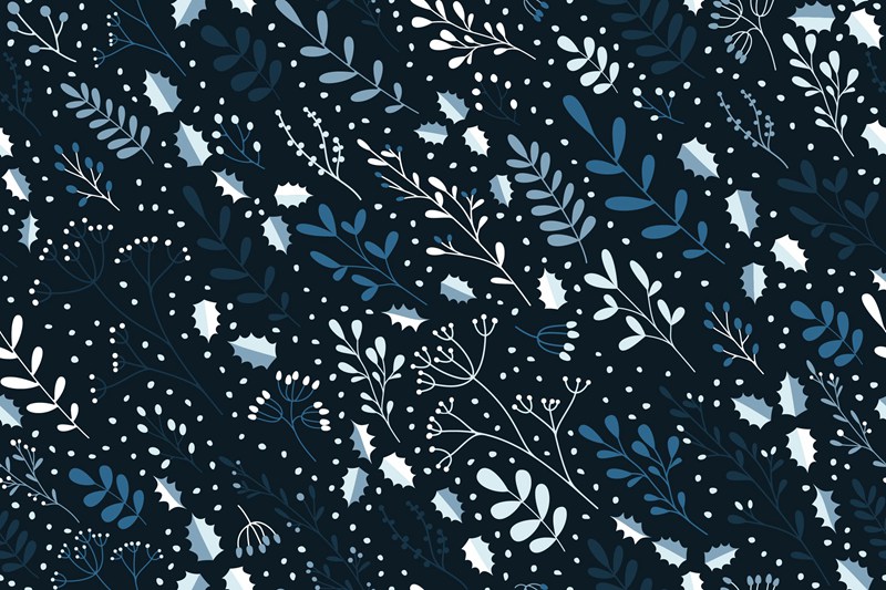 冬季花卉无缝图案矢量背景素材 Winter Floral Pattern 图片素材 sucaiwan.com