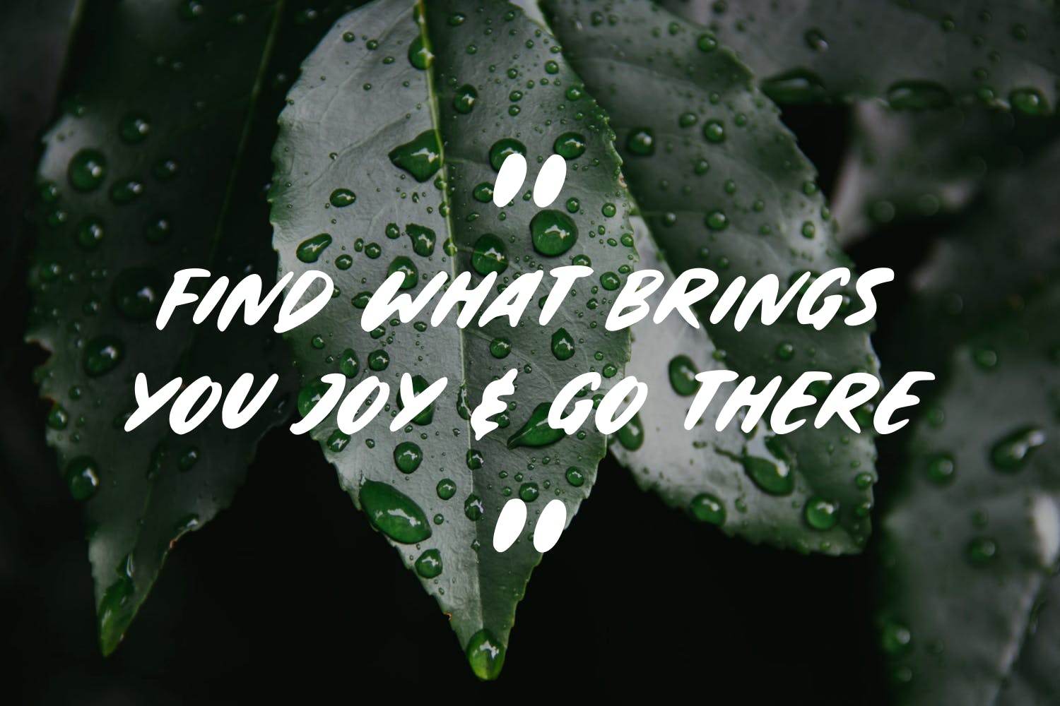 随意手写英文笔刷字体 Sketchy – The Brush Font 设计素材 sucaiwan.com