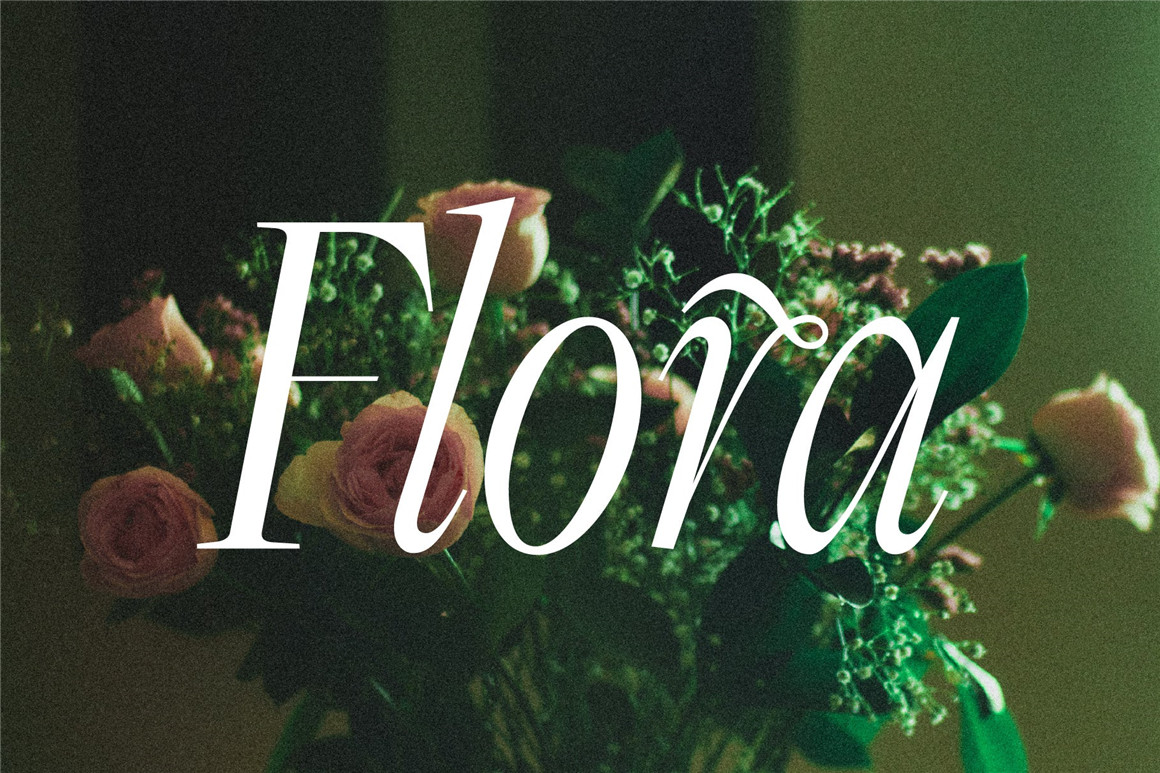 英文字体：黑暗天堂现代优雅杂志封面海报标题徽标设计衬线英文字体 设计素材 sucaiwan.com