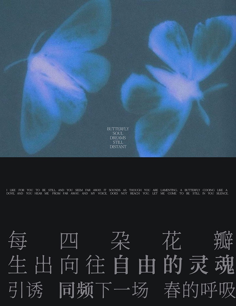 17款优质可商用的宋体字合集 设计素材 sucaiwan.com