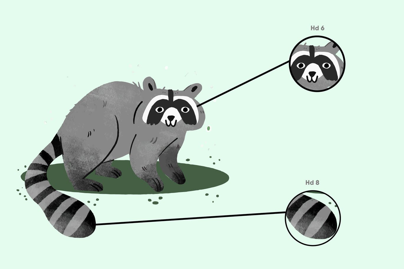 10个iPad专用手绘Procreate笔刷素材 10 Hand Draw Brushes Procreate 笔刷资源 sucaiwan.com